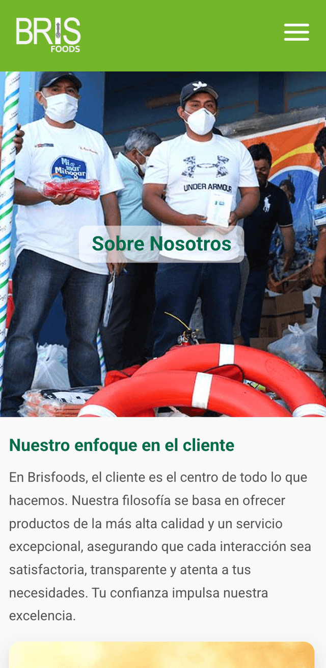 Brismar mobile